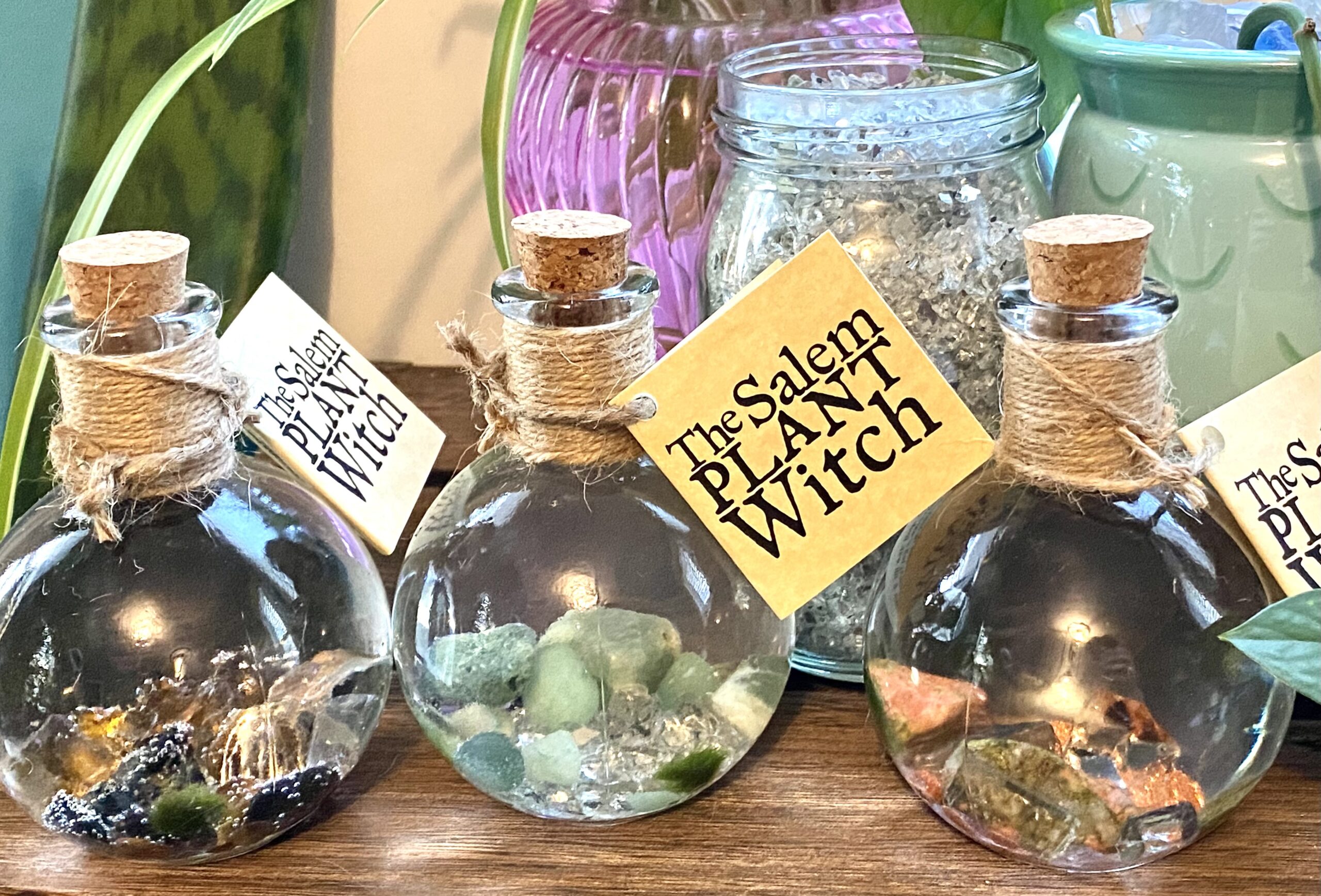 The Salem Plant Witch CultureHouse