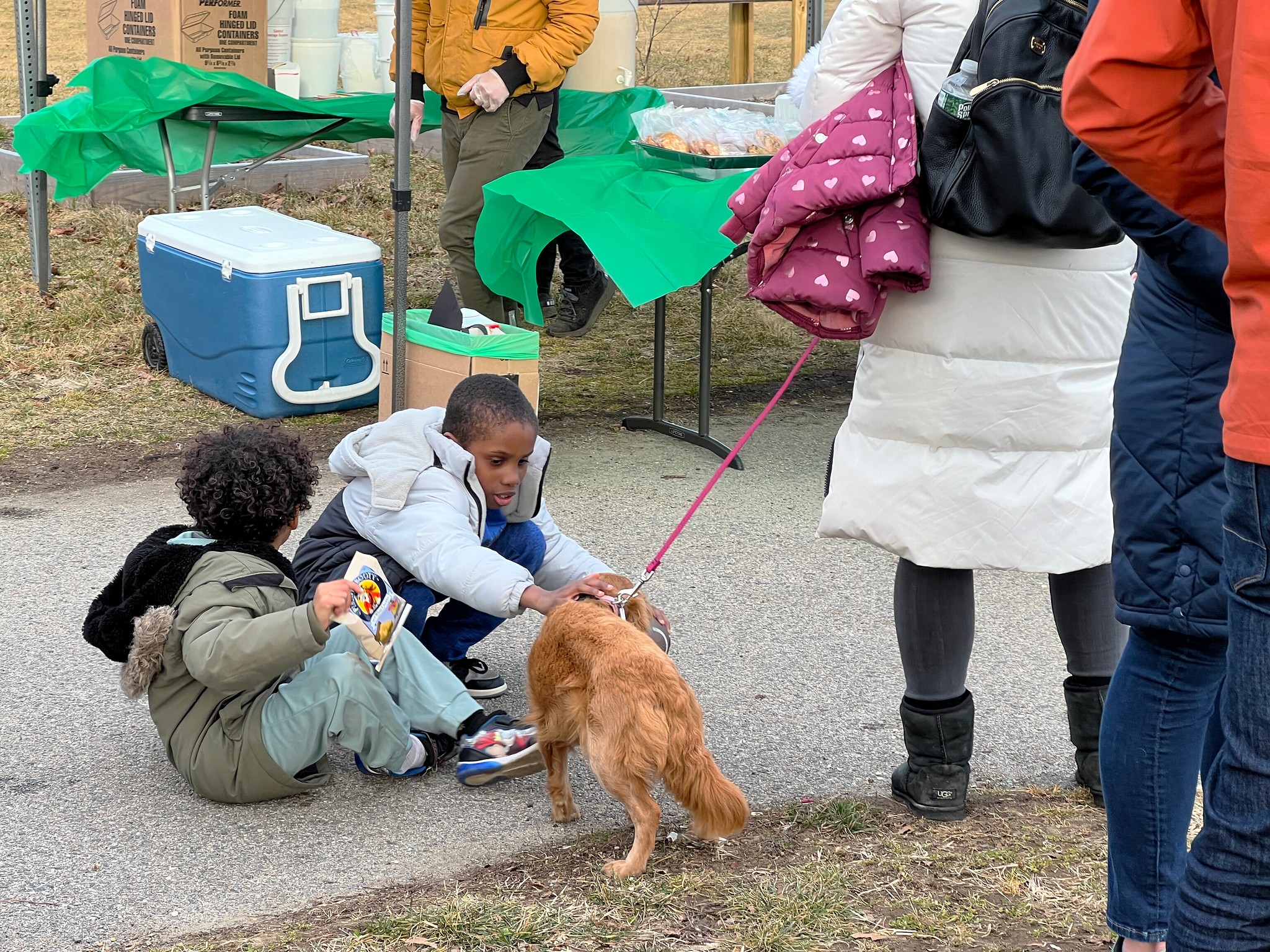 Two boys sit and pet a dog on a leash.