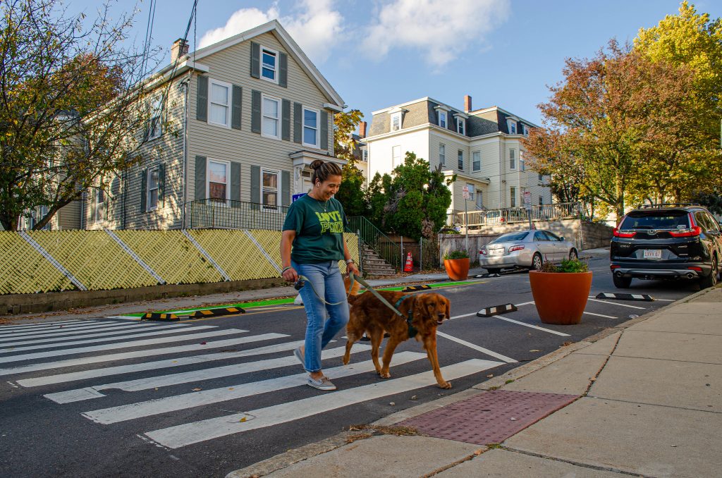 A women walking a dog in a crosswalk.